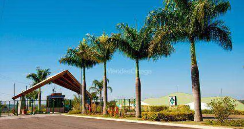 Terreno à venda, 1040 m² por R$ 450.000,00 - Residencial Village Saint Charbel - Araçoiaba da Serra/SP