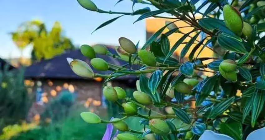 Casa com 3 quartos à venda na Paragem dos Verdes Campos, Gravataí 
