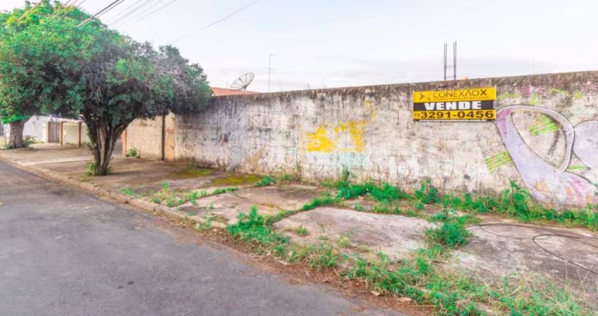 Terreno comercial à venda na Rua Novo Horizonte, 561, Chácara da Barra, Campinas