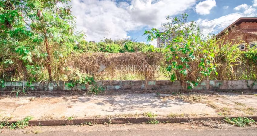 Terreno à venda no Jardim das Paineiras, Campinas 