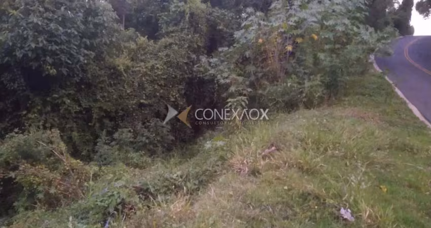 Terreno comercial à venda na Rua Augusto Zanotti, S/N, Vista Alegre, Vinhedo