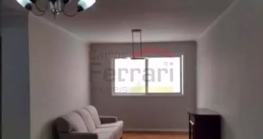 Apartamento a venda, Parque São Jorge, metrô Carrão, 03 dormitórios, 01 suíte, 01 vaga