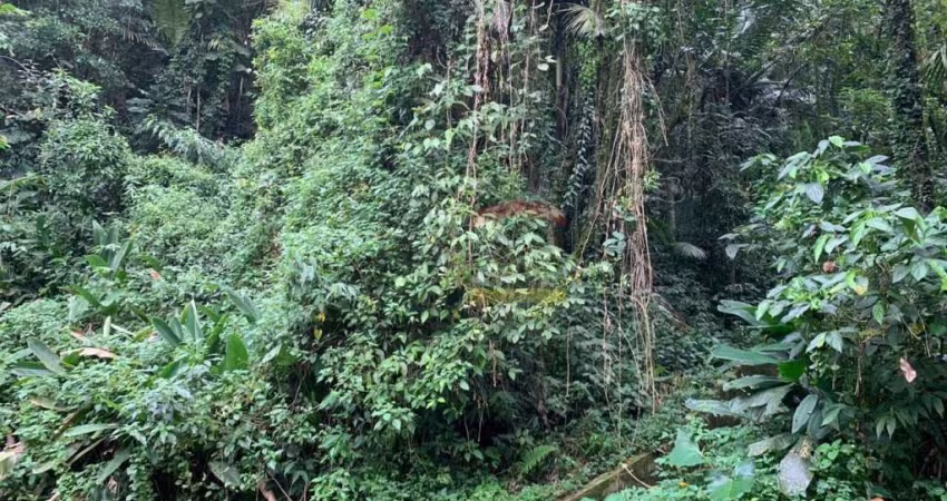 Terreno no condomínio Jardim da Montanha , Serra na Cantareira com projeto.