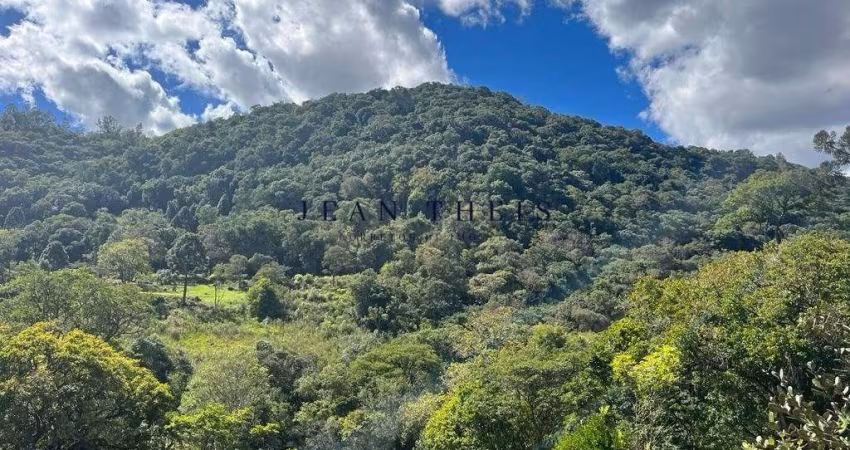 Chácara / sítio com 2 quartos à venda no Santa Lúcia do Piaí, Caxias do Sul 