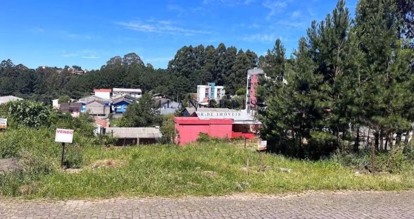 Terreno à venda no Forqueta, Caxias do Sul 
