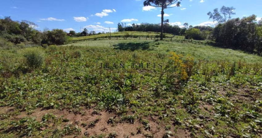 Chácara / sítio com 1 quarto à venda no Nova Sardenha (Distrito), Farroupilha 