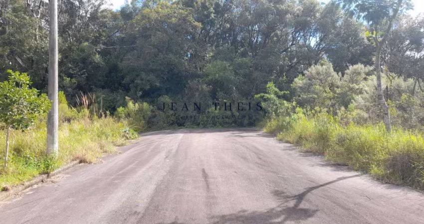 Terreno comercial à venda no Monte Bérico, Caxias do Sul 