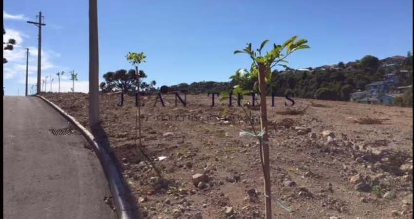 Terreno à venda no Santa Marta, Bento Gonçalves 