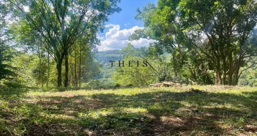 Chácara / sítio à venda no Santa Lúcia do Piaí, Caxias do Sul 