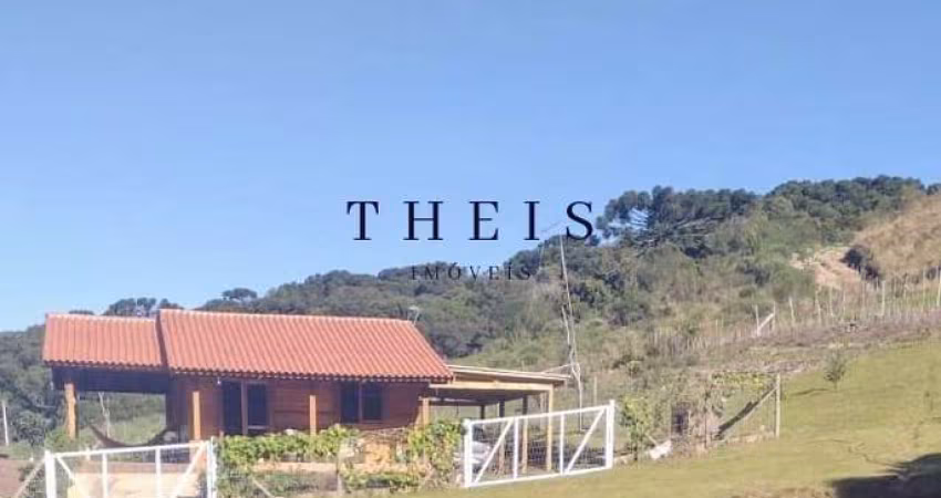 Chácara / sítio com 2 quartos à venda na Vila Oliva (Distrito), Caxias do Sul 