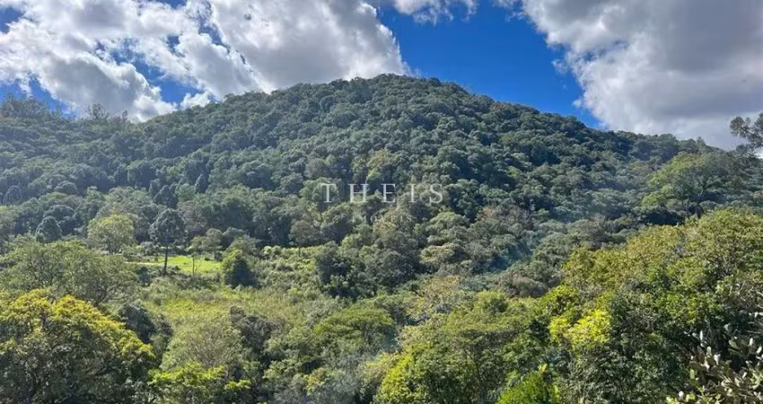Chácara / sítio com 2 quartos à venda no Santa Lúcia do Piaí, Caxias do Sul 