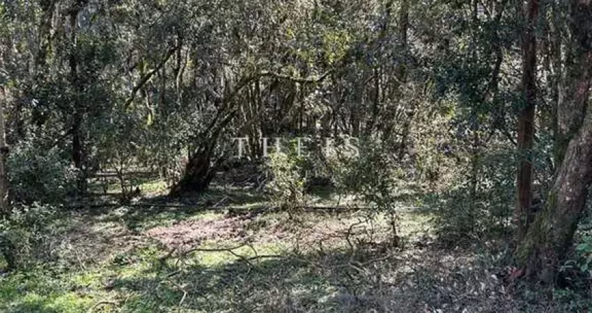 Chácara / sítio com 2 quartos à venda na Vila Seca, Caxias do Sul 