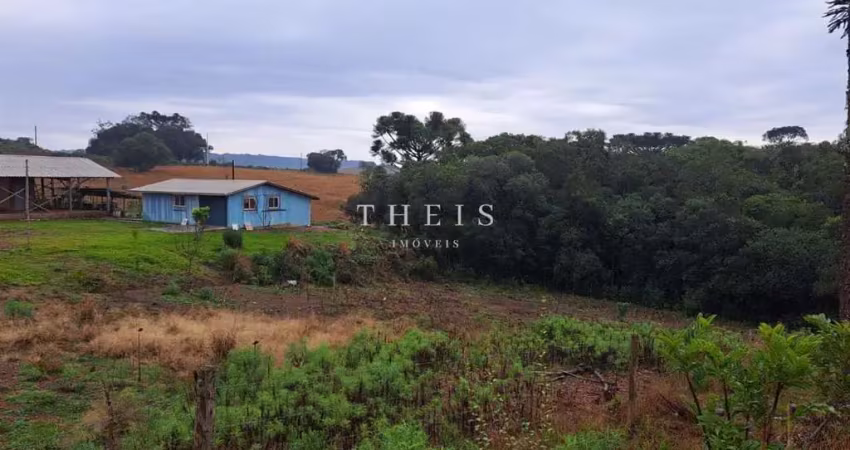 Chácara / sítio com 2 quartos à venda na Zona Rural, Caxias do Sul 