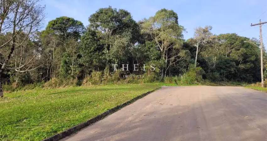 Terreno à venda na Ana Rech, Caxias do Sul 