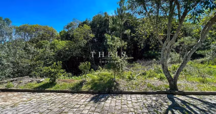 Terreno à venda na Nossa Senhora das Graças, Caxias do Sul 