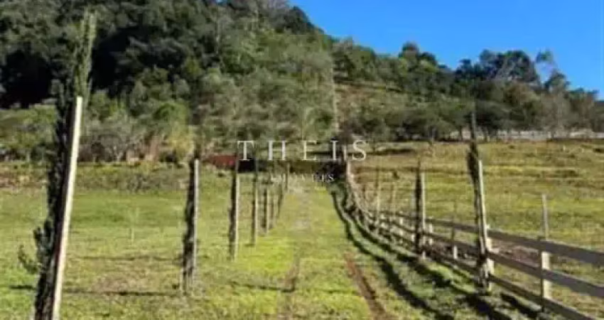 Chácara / sítio com 2 quartos à venda no São Pedro da Terceira Légua, Caxias do Sul 