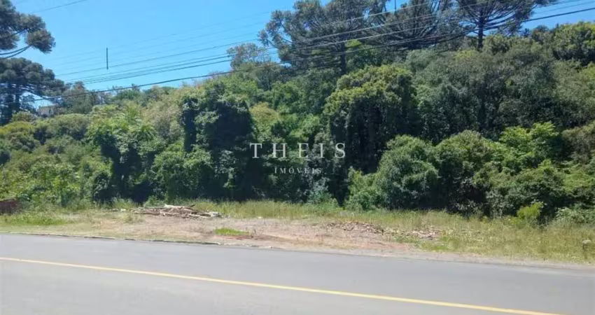 Terreno à venda no Simonaggio, Garibaldi 