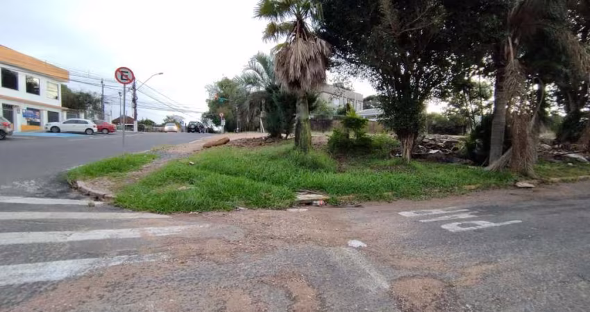 Terreno para locação na bairro Igara.