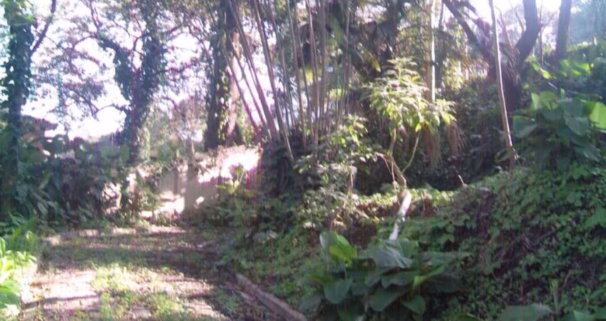 Terreno para Venda em São Paulo, Jardim Vitória Régia
