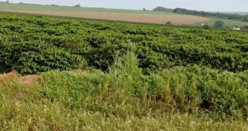 Fazenda para Venda em Franca, Parque Francal