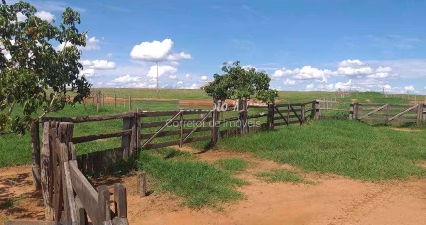Fazenda para Venda em Araçatuba, Vila São Paulo
