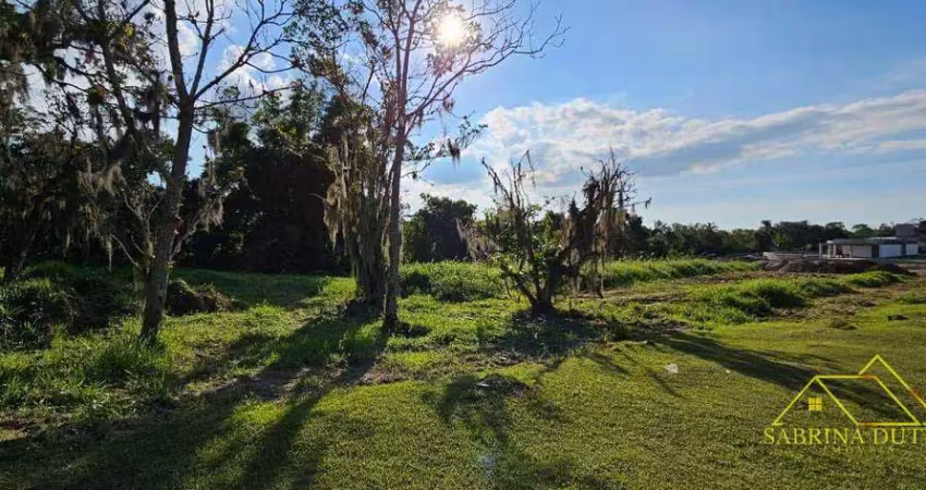 Terreno à venda, 3333 m² por r$ 1.550.000,00 - ratones - florianópolis/sc