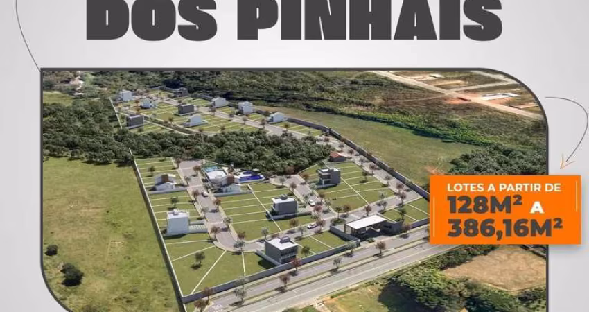Terreno para Venda em São José dos Pinhais, Barro Preto