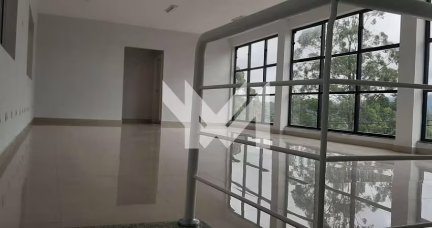 Galpão Comercial /  Terra Preta