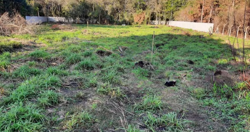 Terreno comercial à venda na Rua Ulda Pereira da Silva, Parque das Nascentes, Pinhais