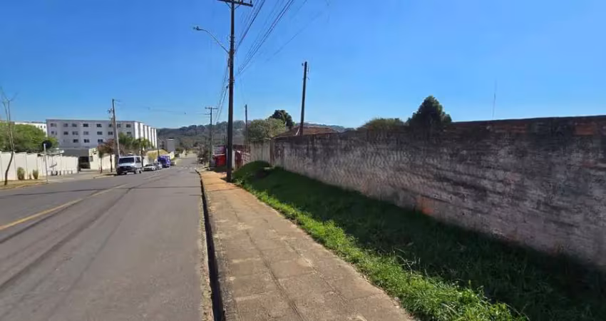 Terreno à venda na Rua Hugo Zen, Colônia Rio Grande, São José dos Pinhais