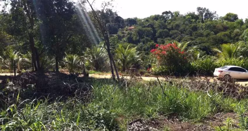 Chácara / sítio à venda na Avenida das Hortências, 111111, Comunidade Urbana de Lagoa Dourada, Guarapari