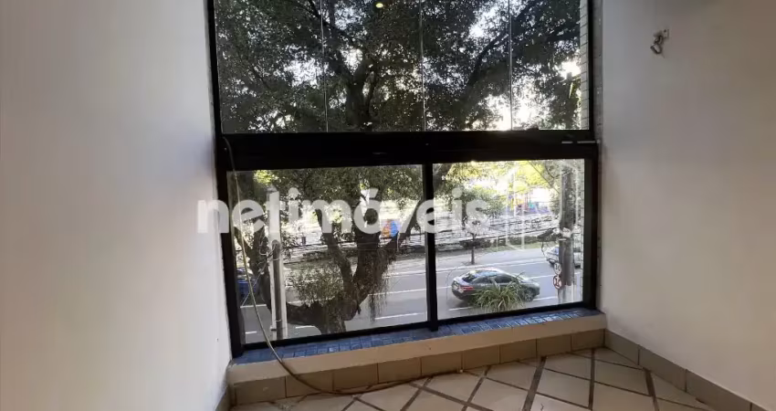 Lindo e amplo 03 qtos suíte 2 varandas elevador oportunidade