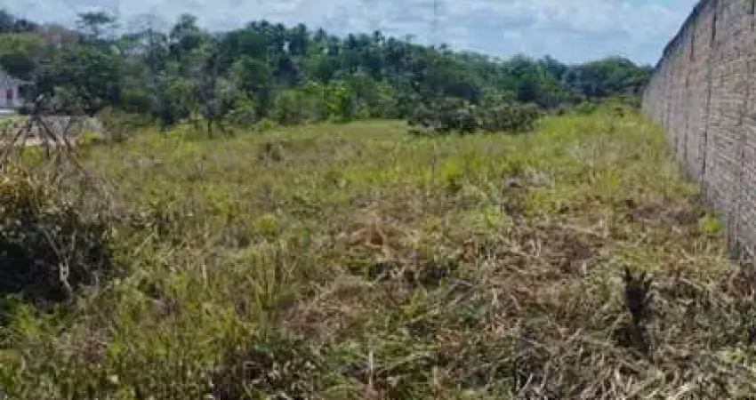 Terreno à venda na Rodovia BR-210 - do km 0,004 ao km 0,012, Lagoa Azul, Macapá