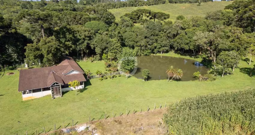 Chácara / sítio com 3 quartos à venda na Estrada Arlindo Inácio Mombach, Centro, Campina Grande do Sul