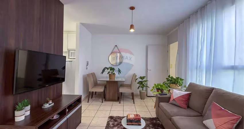 Apartamento Condomínio Mirante Campestre - Raposos/MG