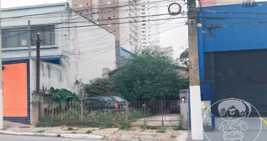 Terreno com Casas no Tatuapé à Venda - 320m² - Cód 5056