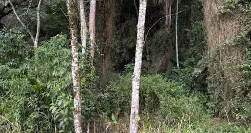 Chácara / sítio à venda na Área Rural de Jaraguá do Sul, Jaraguá do Sul 
