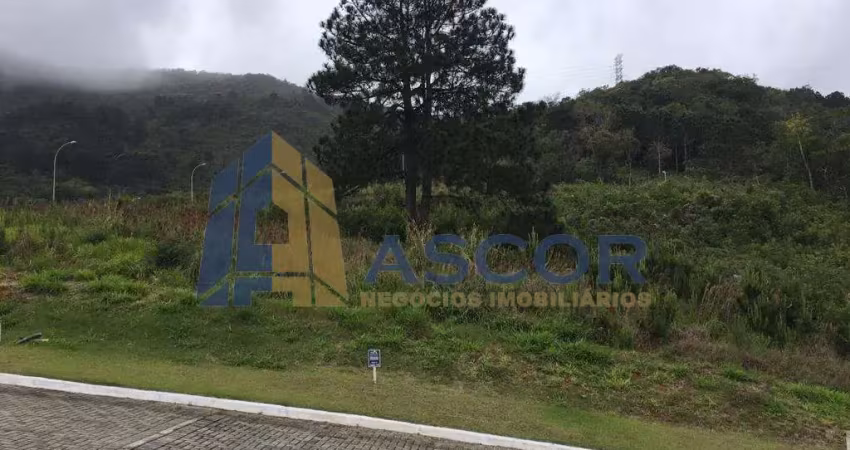 Terreno à venda na Rua Rodrigo Rampinelli Jeremias, --, Itacorubi, Florianópolis