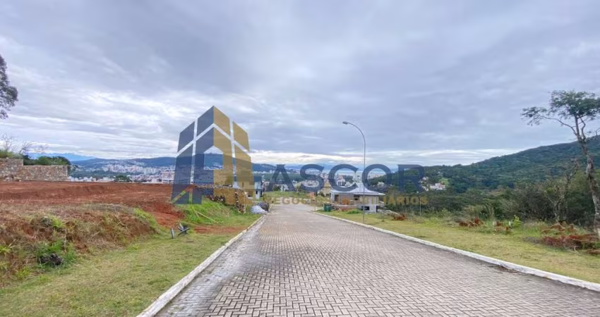 Terreno à venda na Rua Rodrigo Rampinelli Jeremias, --, Itacorubi, Florianópolis