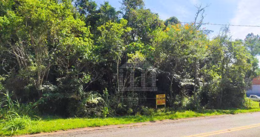Terreno à venda na Avenida Professor Herman Von Ihering, --, Jardim Alviverde, São Paulo