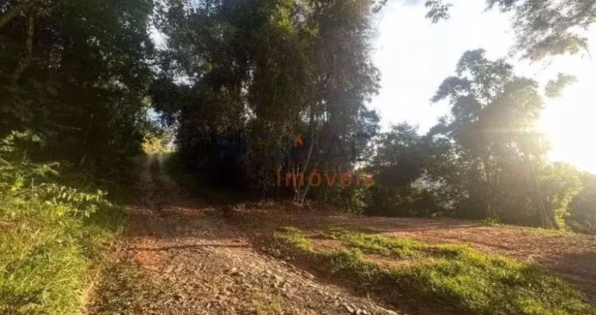 Chácara / sítio à venda na Rua Ítalo Cupolillo, 1, Tiguera, Juiz de Fora