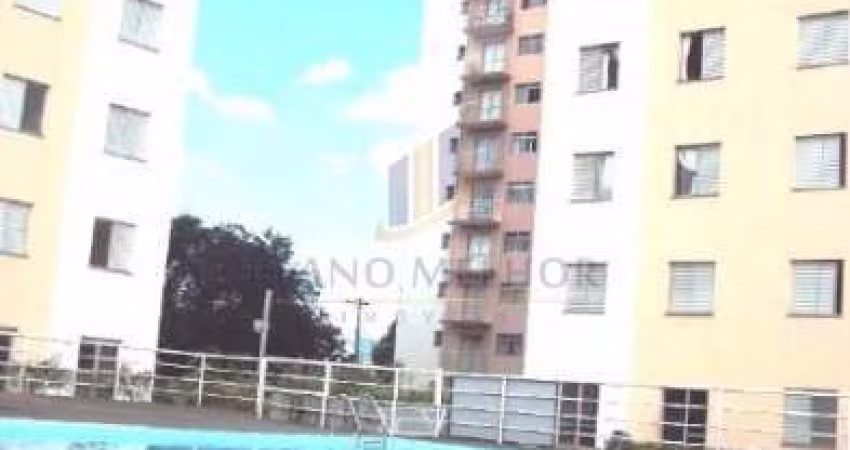 Apartamento em Condomínio Padrão no bairro Vila Robertina, 2 dorm, 0 suíte, 1 vagas, 58 m.AP0824
