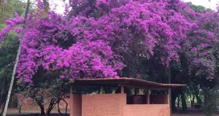 Chácara / sítio com 4 quartos à venda no Brazlândia, Brasília 