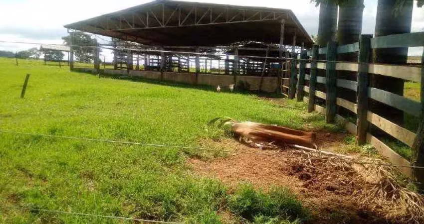 Chácara / sítio à venda na Rua Nova, Jardim Nova Esperança, Goiânia