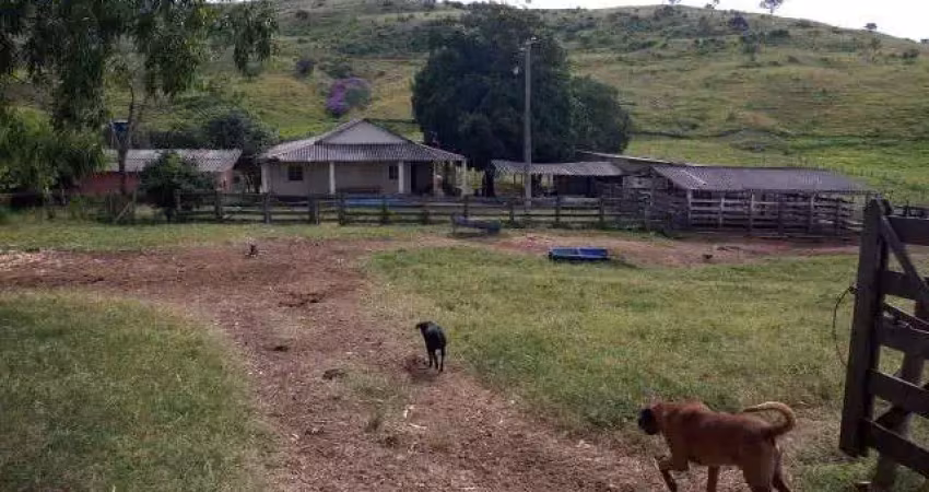 Chácara / sítio à venda na Rua Nova, Jardim Nova Esperança, Goiânia