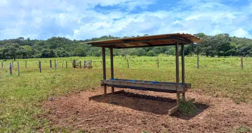 Chácara / sítio à venda na Avenida Central, Jardim Nova Esperança, Goiânia