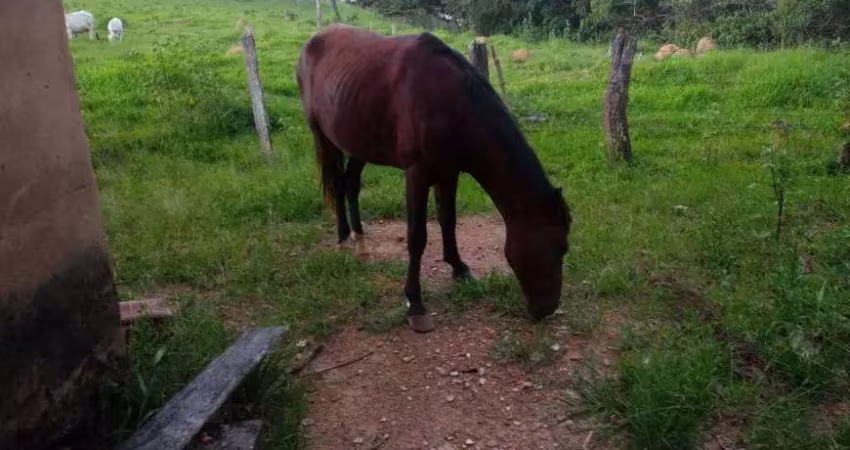Chácara / sítio com 2 quartos à venda na Avenida Central, Jardim Nova Esperança, Goiânia