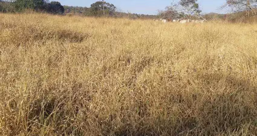 Chácara / sítio à venda na Avenida Central, Jardim Nova Esperança, Goiânia