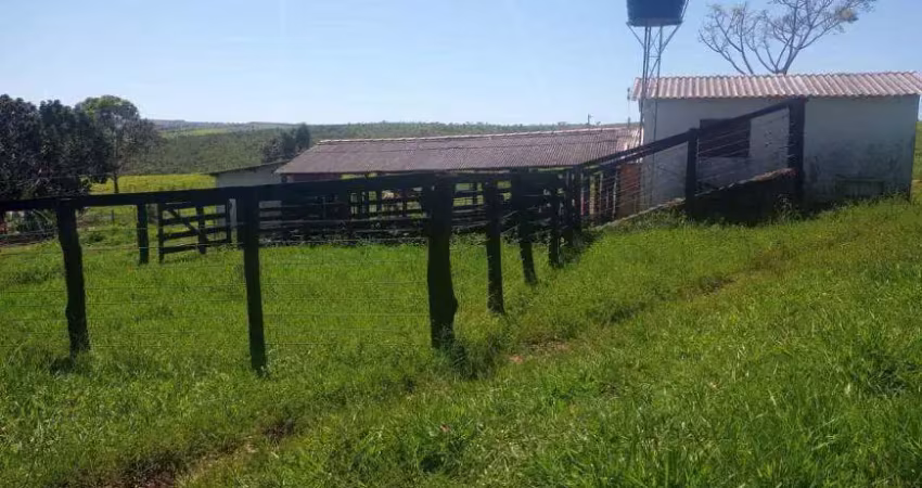 Chácara / sítio à venda na Avenida Bernardo Sayão, Setor Centro Oeste, Goiânia