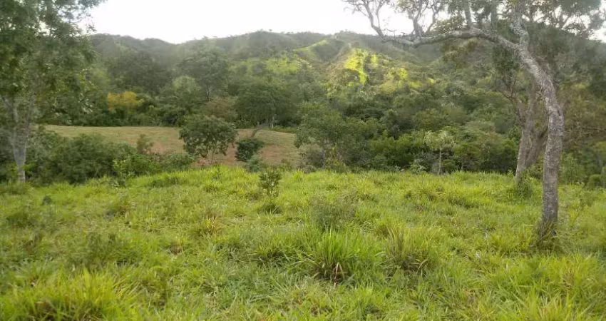 Chácara / sítio à venda na Avenida Central, Jardim Nova Esperança, Goiânia